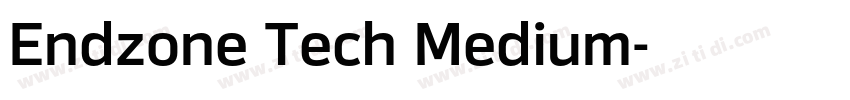 Endzone Tech Medium字体转换
